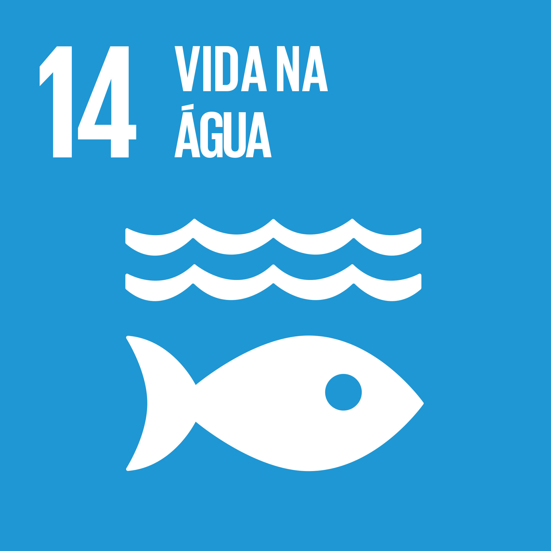 ods 14