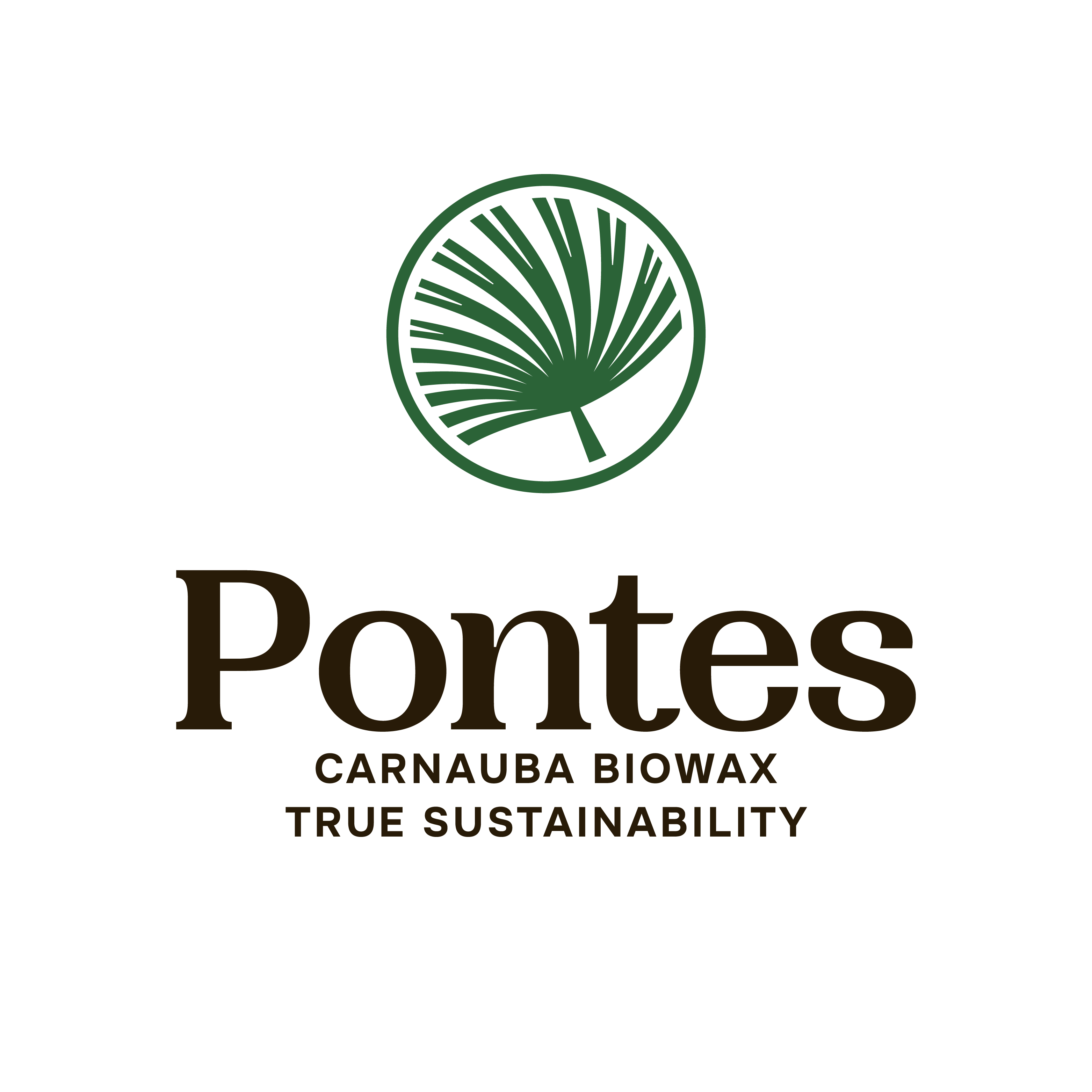 Logo Parceiro